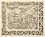 Image ID 822783