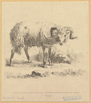 Image ID 822785