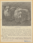 Image ID 822788