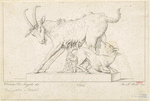 Image ID 822792