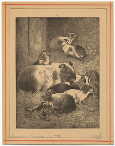 Image ID 822795