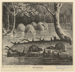 Image ID 822799