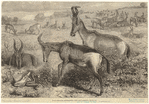 Image ID 822802