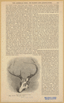Image ID 822803