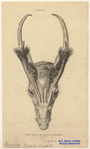 Image ID 822804