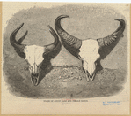Image ID 822806