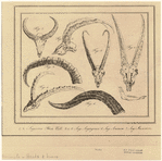 Image ID 822807