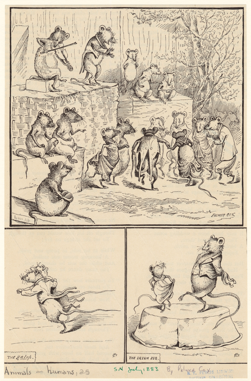 Image ID 822815
