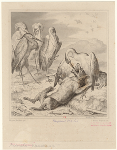 Image ID 822818