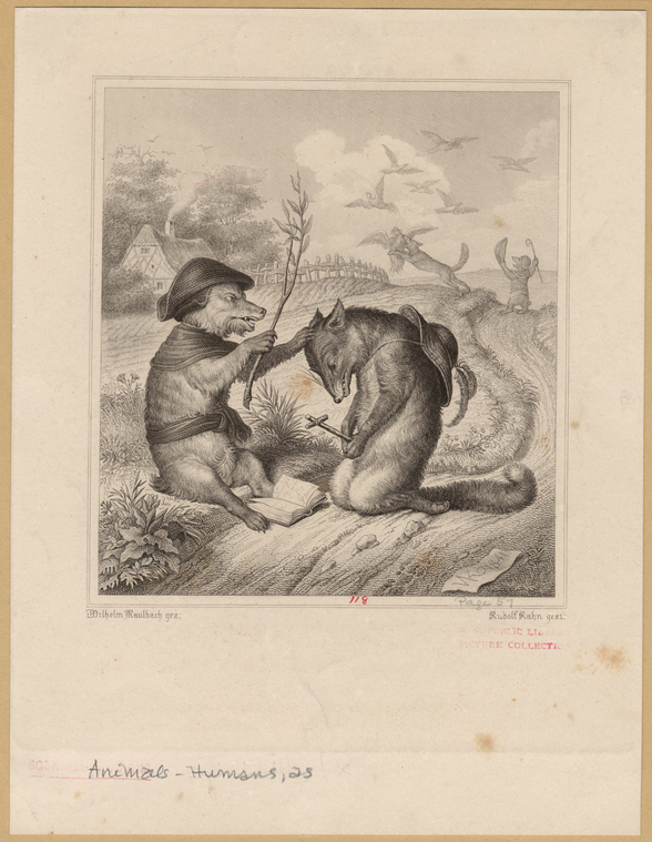 Image ID 822827

