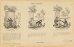 Image ID 822840