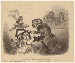 Image ID 822843