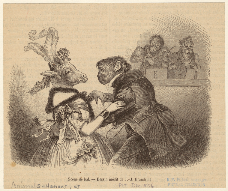 Image ID 822843
