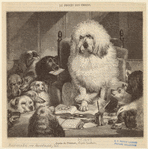 Image ID 822855