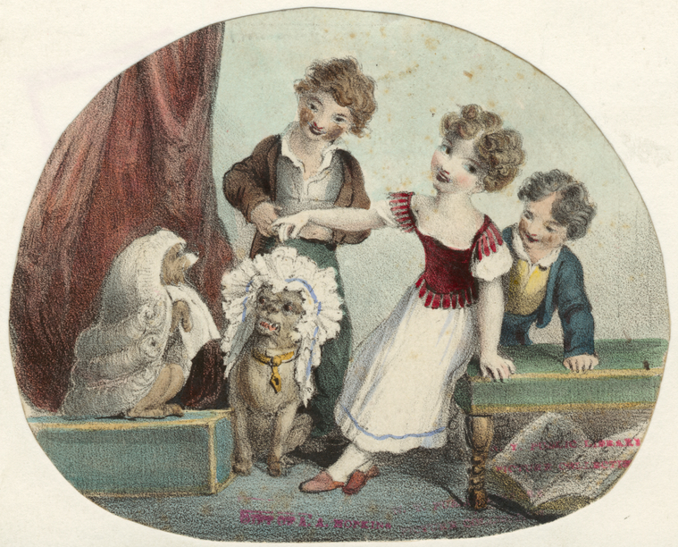 Image ID 822867
