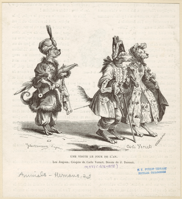 Image ID 822868
