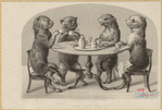 Image ID 822871