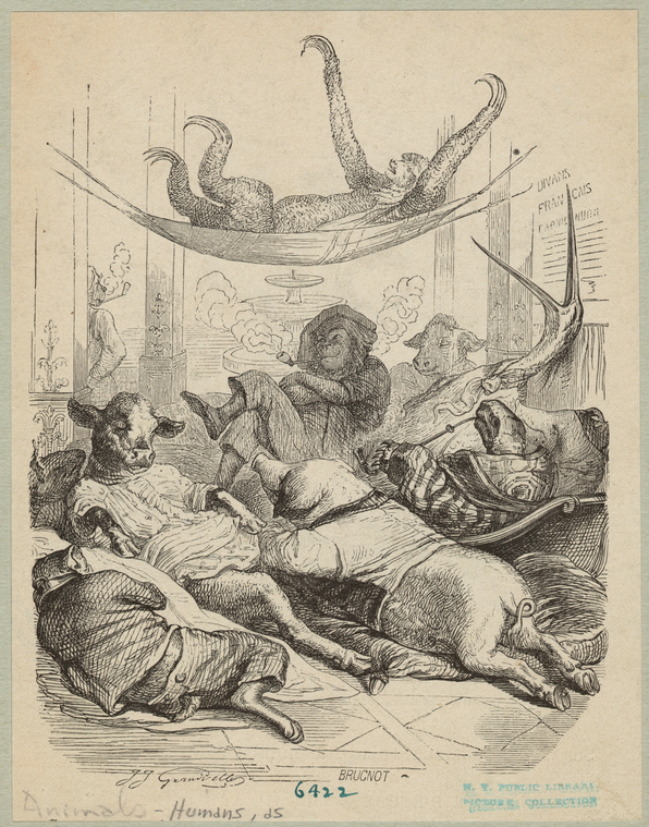 Image ID 822879
