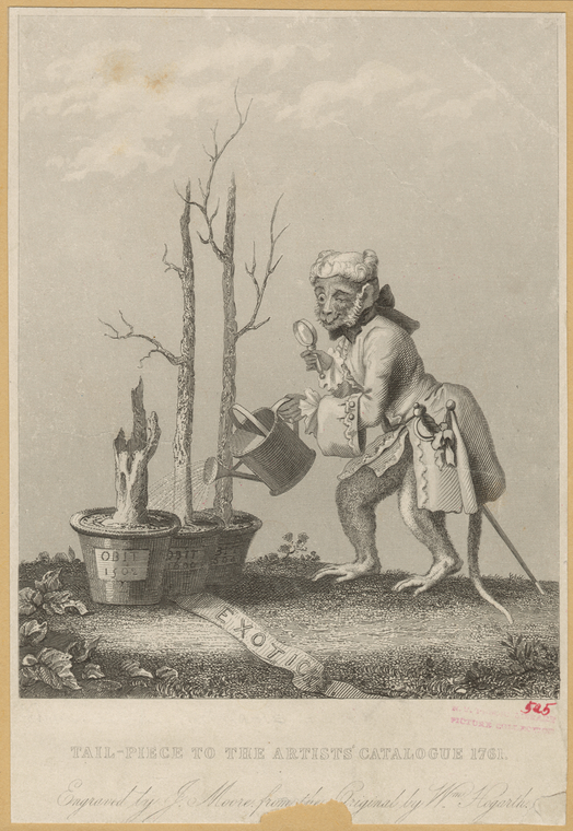 Image ID 822880
