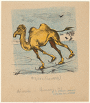 Image ID 822891
