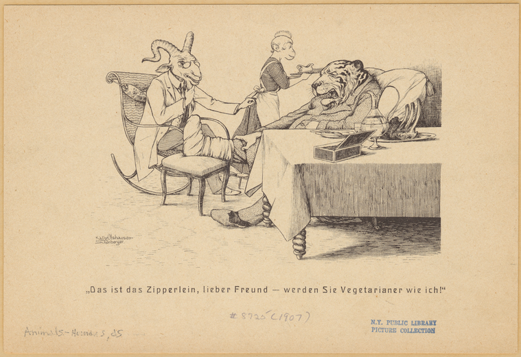 Image ID 822901
