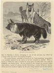 Image ID 822906