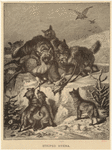 Image ID 822908