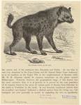 Image ID 822911