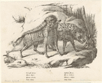 Image ID 822912