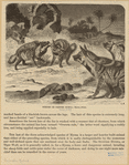 Image ID 822914