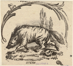 Image ID 822918