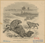 Image ID 822919