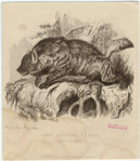 Image ID 822920