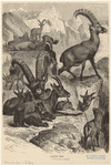 Image ID 822923