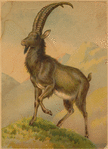 Image ID 822924