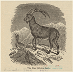 Image ID 822928