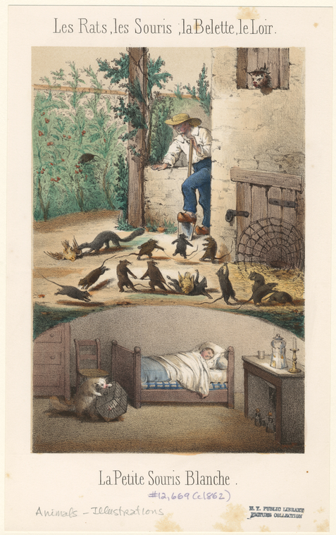 Image ID 822939
