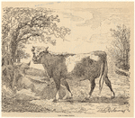 Image ID 822941
