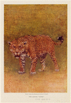 Image ID 822951