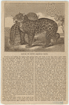 Image ID 822953