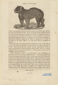 Image ID 822954
