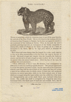 Image ID 822954