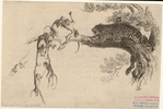 Image ID 822956