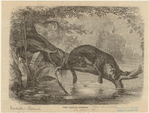 Image ID 822957