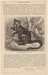 Image ID 822958
