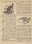 Image ID 822960