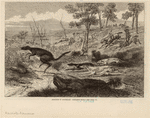 Image ID 822961