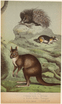 Image ID 822962