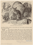 Image ID 822963