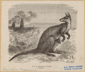 Image ID 822964